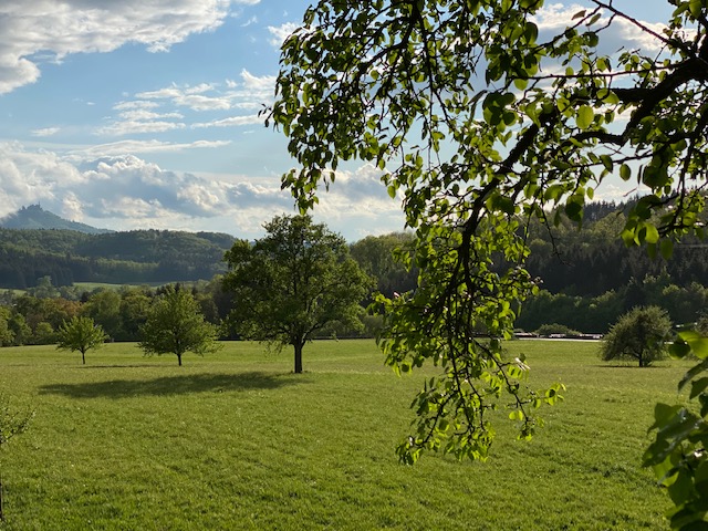 Jagdschule  Wildbretschütz Ausbildungsrevier